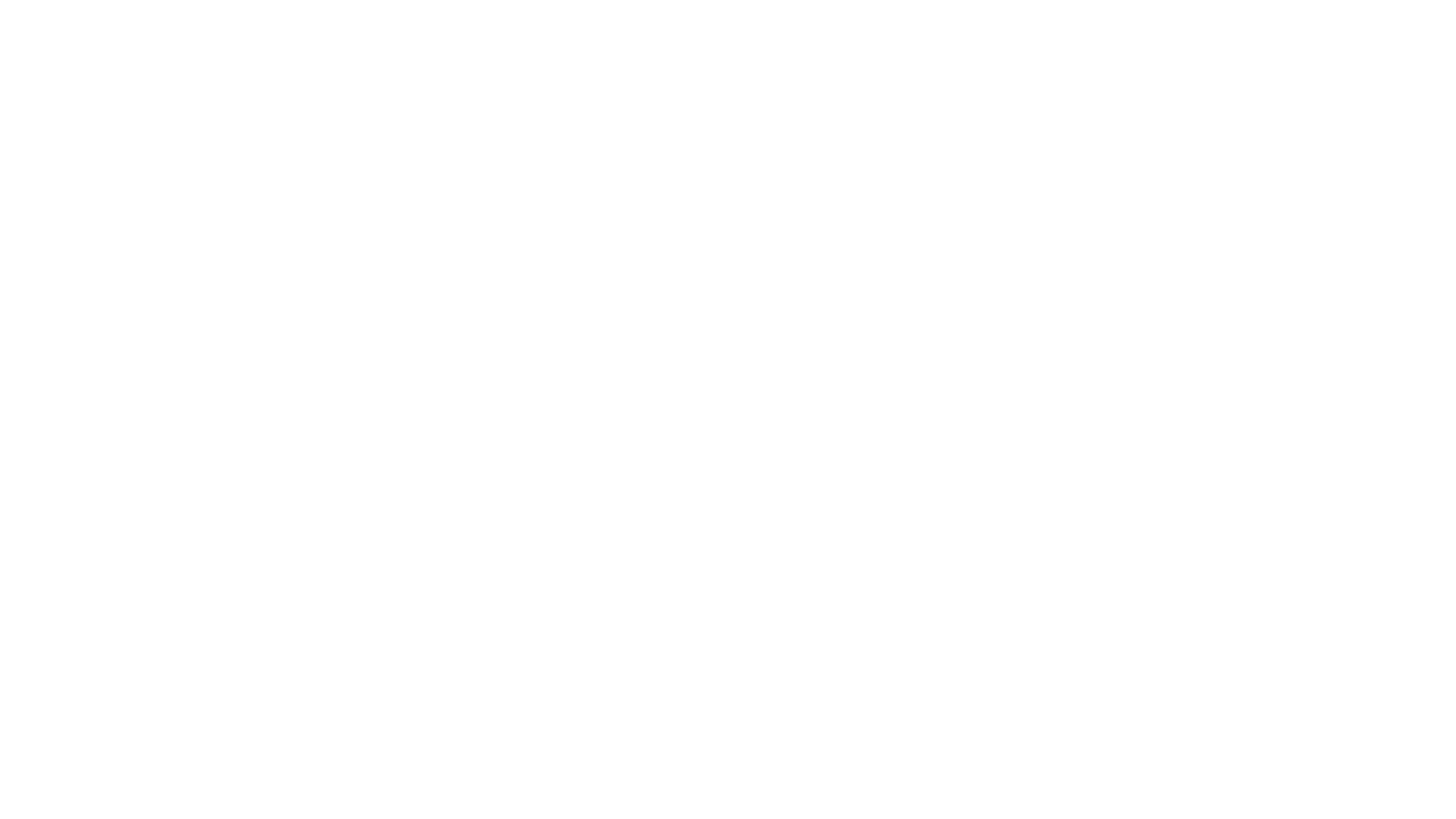 logo riflessi